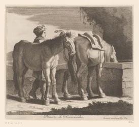 Drikkeheste Masete de Normandie (titel på objekt) Dyreserie (serietitel)