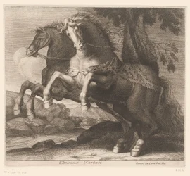 opdræt af heste Chevaux Tartare (titel på objekt) Dyreserie (serietitel)