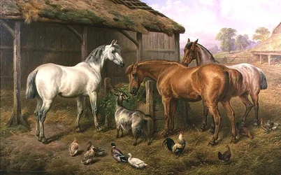 Gårdsvenner