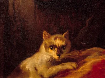 Mademoiselle de Charolais Detalje, der repræsenterer katten. Maleri af Charles Joseph Natoire (Charles-Joseph Natoire