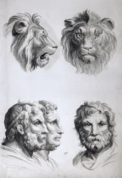 Ligheder mellem hovedet på en løve og et menneske, fra «Livre de portraiture pour ceux qui commencent à dessiner» af Le Brun