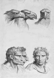 Ligheder mellem hovedet af en ørn og en mand, fra 