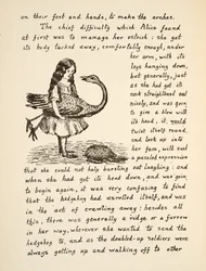 Alice holder sin struds, illustration fra Alices Adventures Under Ground, pub. 1886 (faksimile)
