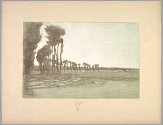 Suite de Paysages: Landskab, Plade 5, Remarque, Tre hvedestilke