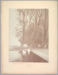 Suite af Landskaber: Landskab, Tavle 6, Note, Liljer, 1892-1893.
