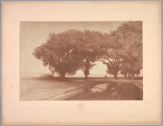 Suite af Landskaber: Landskab, Tavle 8, Note, Stedmoderblomster, 1892-1893.