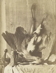 Game Still Life, ca. 1853-55 (albuminiseret saltet papirtryk)