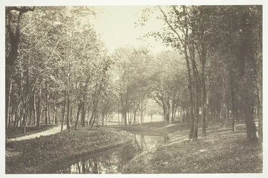 Uden titel, c. 1850. [Træer nær vand i Bois de Boulogne, en park i Paris].