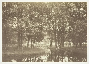 Uden titel, c. 1850. [Træer nær vand i Bois de Boulogne, en park i Paris].