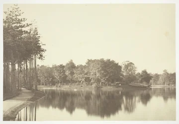 Uden titel, c. 1850. [Træer nær vand i Bois de Boulogne, en park i Paris].