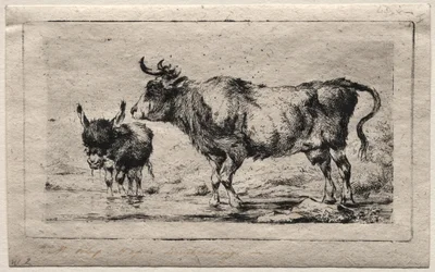 Ko og Æsel, 1849.