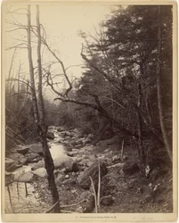 På Baker River, Breezy Point, N.H.