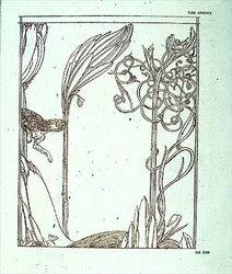 Illustration til 