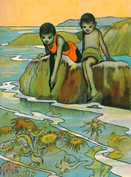 En have i havet, 1912