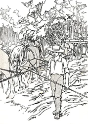 En nybygger rydder sit land, 1912