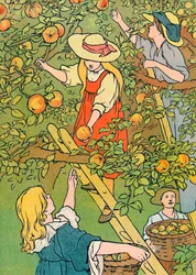 Pluk frugten, 1912