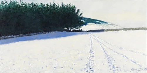 Dark Trees  Snow, 2011 (olie på lærred)
