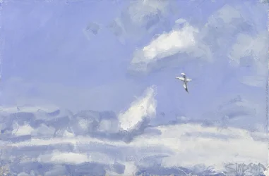 Gannet  Clouds, 2016 (olie på lærred)