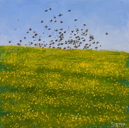 Starlings  Buttercups, Iona, 2015 (olie på lærred)