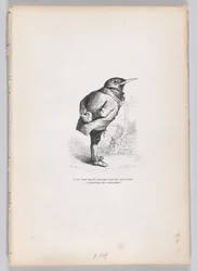 Gamle, ødelagte, udslidte, finurlige, men alligevel gode, dog dedikerede og hjemlige af temperament..., ca. 1837-47.