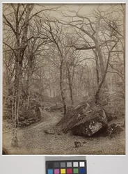 Fontainebleau, ca. 1870 (albumin print)