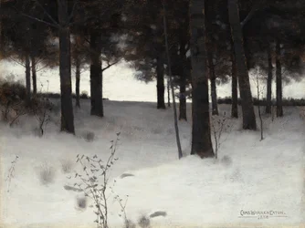 Skov om vinteren