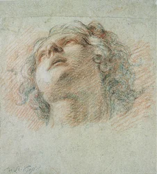 Head of a Youth, set nedefra (rødt og sort kridt på papir)
