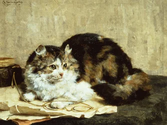 En tabby kat