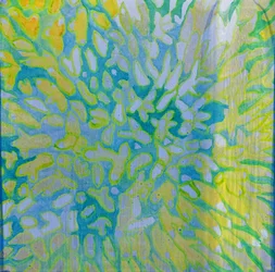 Acrapora, 2000 (olie på gesso)