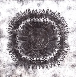 Planteceller, 2019 (tørpunktsætsning)