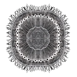 Planteceller, 2019 (pen og blæk)