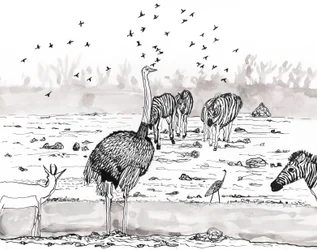 Safari 2, 2018 (blæk og akvarel)