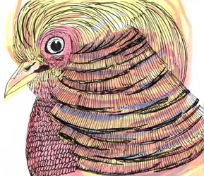 Tropical Bird, 2018 (pen, blæk og akvarel)