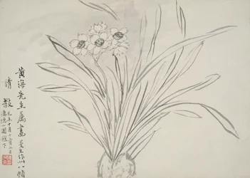 Album af blomster