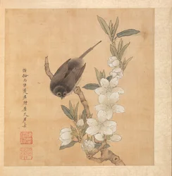 Malerier efter gamle mestre: A Bird and Peach-Blossom Branch, 1598-1652.