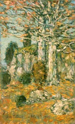 Træ Landskab
