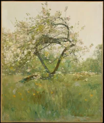 Ferskenblomster — Villiers-le-Bel