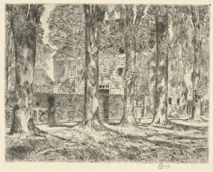 Landsbyens elmetræer, 1923