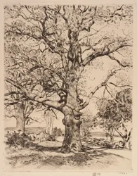 Wayside Inn Oaks i foråret