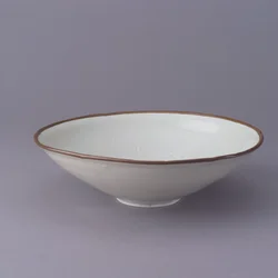 Skål (ding ware)