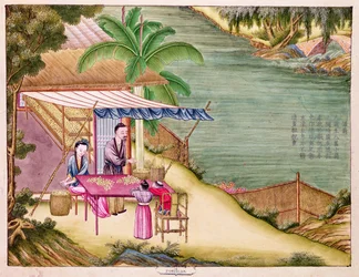 Ms 202 f.6 Sorting the Cocoons, fra en bog om silkeindustrien (wc på papir)
