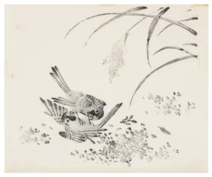 Ten Bamboo Series, 18th centurydani