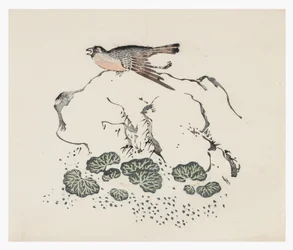 Ten Bamboo Series, 18th centurydani