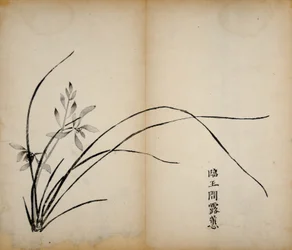 Ti Bamboo Studio Prints, 1643 (træblok)