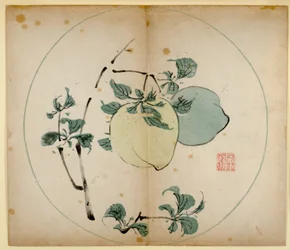 Ti Bamboo Studio Prints, 1643 (træblok)