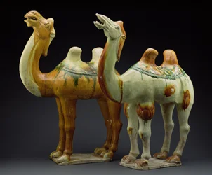 To kameler, Tang-dynastiet (618-907) (glaseret lertøj)
