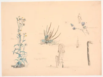 Plantestudier. En badehusbro og et skib