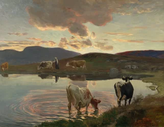 Efter solnedgang