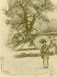 Kvinde med parasol, Nagasaki, Japan, 1898.