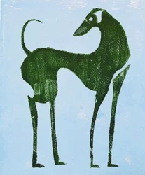 Den elegante ørkenhund